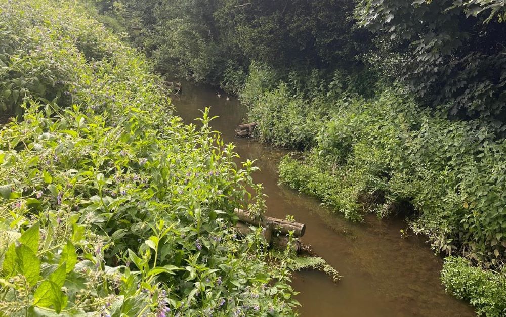 The Greens hope local concern over sewage in the local river will help them pull off a major victory in the Waveney Valley (Alamy)